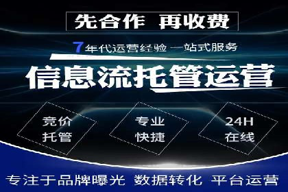 成功运用SEM技术提升网站流量的案例研究